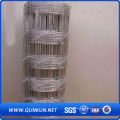 Electro Galvanized Iron Wire Mesh Cattle Fencing